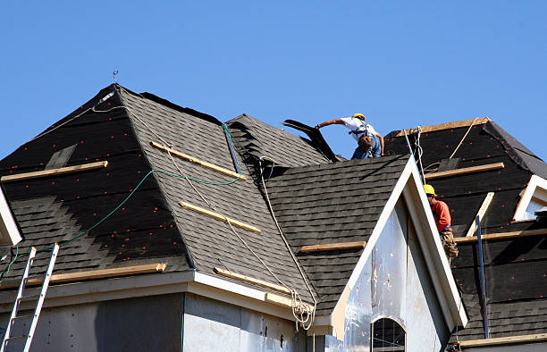Best Storm Damage Roof Repair  in Alamo, TX
