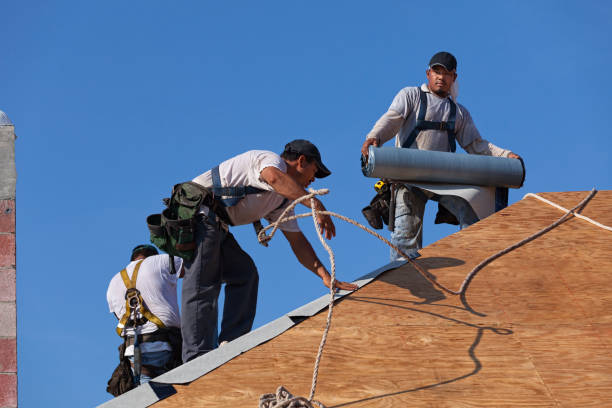 Best Gutter Installation and Roofing  in Alamo, TX