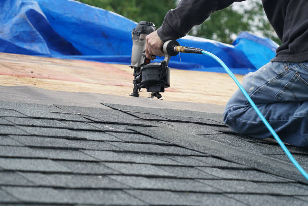 Quick and Trustworthy Emergency Roof Repair Services in Alamo, TX