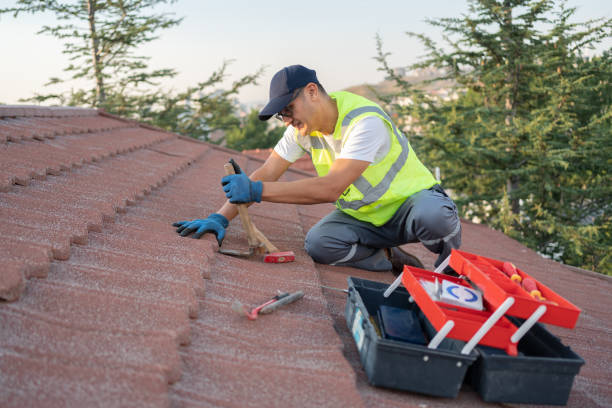 Best Roof Gutter Cleaning  in Alamo, TX