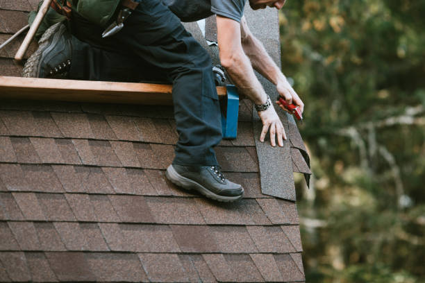 Best Metal Roofing Contractor  in Alamo, TX